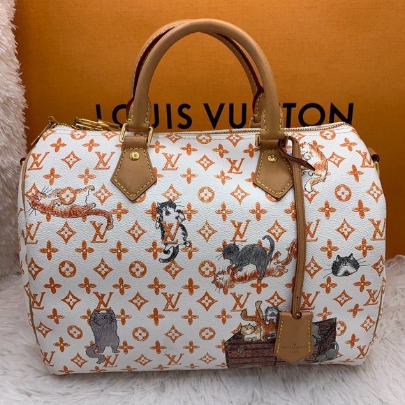 ❌EXCLUSIVE Louis Vuitton Catogram Speedy White Bag - Picture 14 of 14